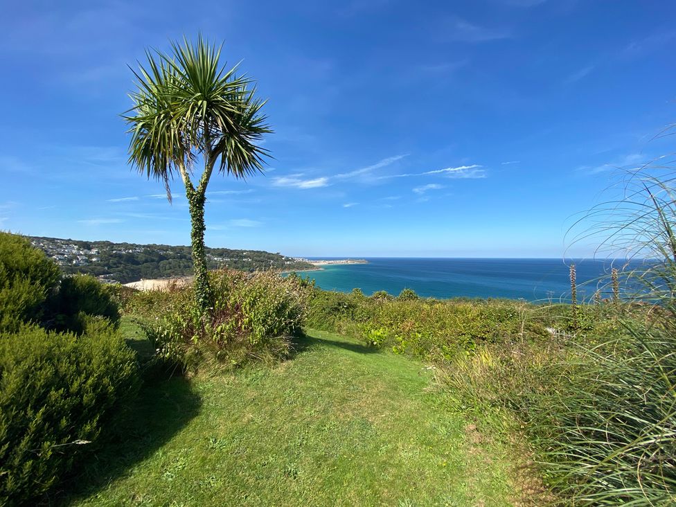 A view of the ocean with a palm tree at 5 St Gwithian Apartments in Carbis Bay
