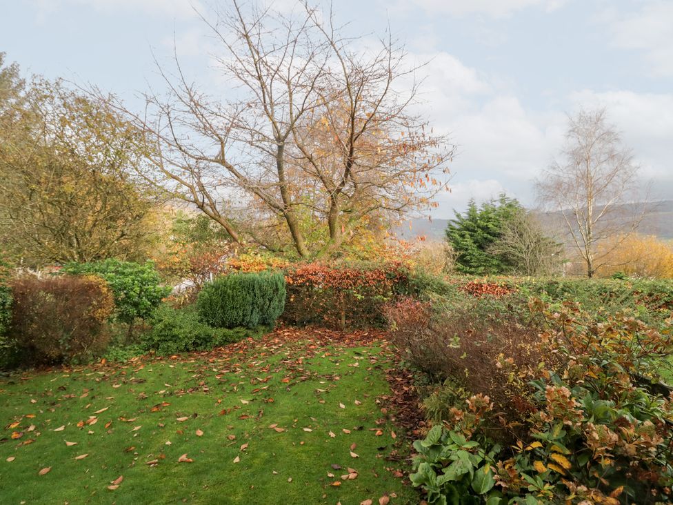 A garden with trees and fallen leaves at Low Dow Crag in Coniston