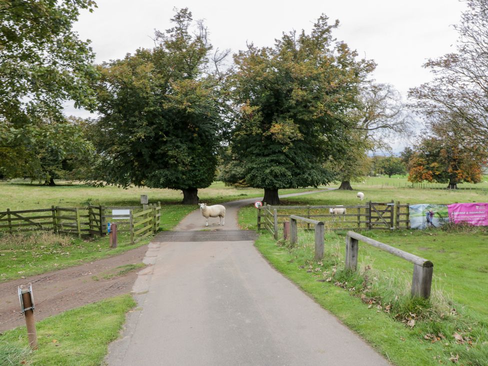 Gate Lodge - Scottish Lowlands - 1087863 - thumbnail photo 25