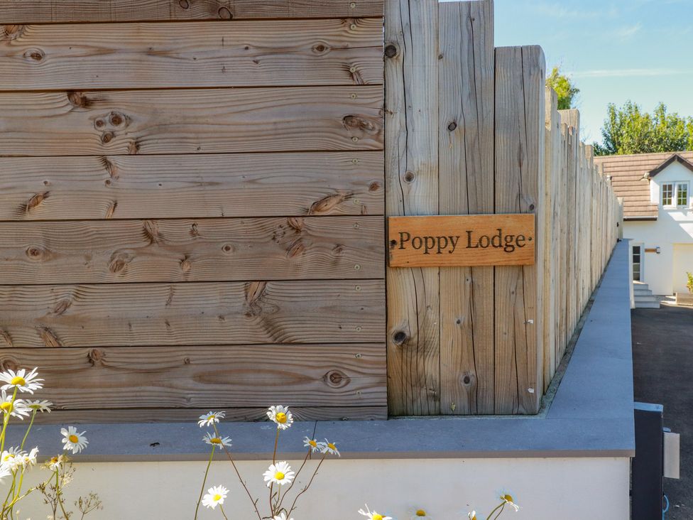 Poppy Lodge - Cornwall - 1087942 - thumbnail photo 18