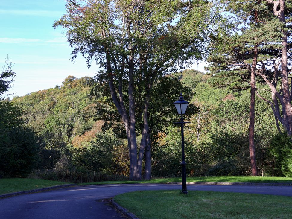 A pathway surrounded by trees and a lamp post at Lavender Lodge in Saltburn-By-The-Sea