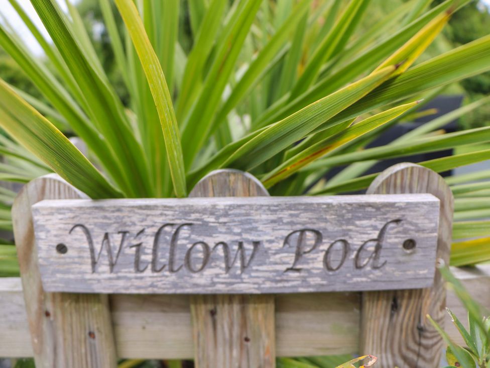 A wooden sign with Willow Pod carved on it in front of green spiky leaves at Willow Pod in Arundel West Sussex