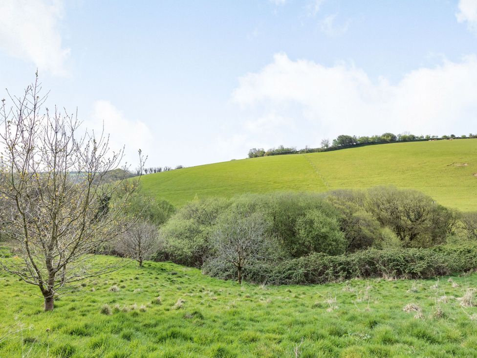 Beechcroft Cottage - Devon - 1089069 - thumbnail photo 15