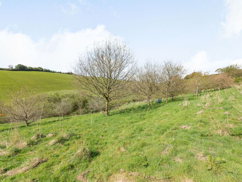 Beechcroft Cottage - Devon - 1089069 - thumbnail photo 16