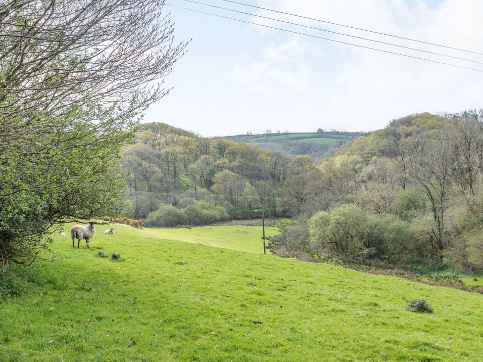 Beechcroft Cottage - Devon - 1089069 - thumbnail photo 19