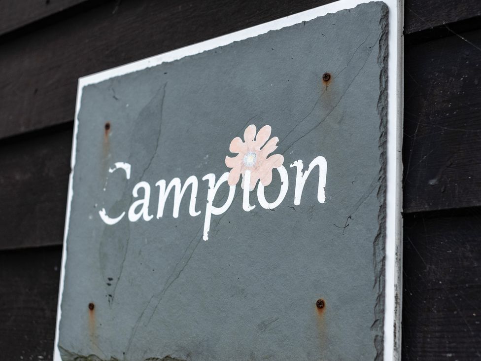 Campion Lodge - Cornwall - 1089250 - thumbnail photo 24