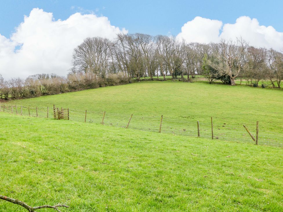 A field with trees and a fence at Charlotte’s Cottage in Hathersage