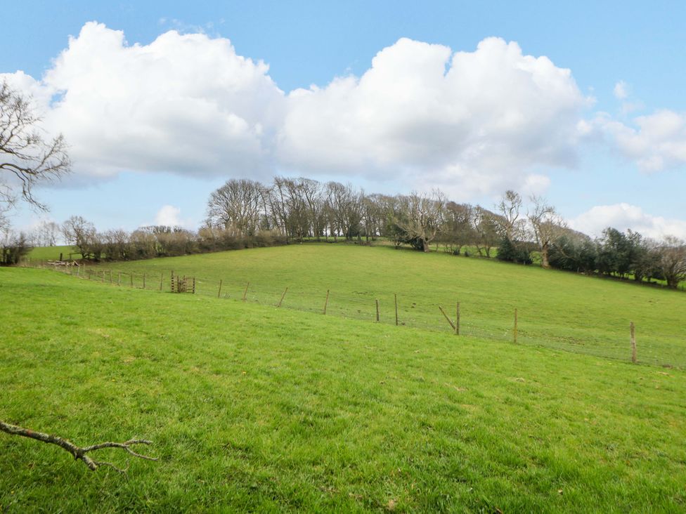 A grassy field with a fence and trees at Charlotte’s Cottage in Hathersage