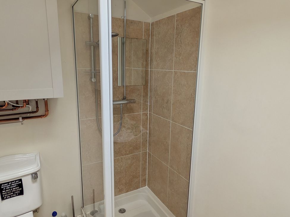A shower enclosure and toilet in a bathroom at Little Pandy Cottage Afonwen near Caerwys