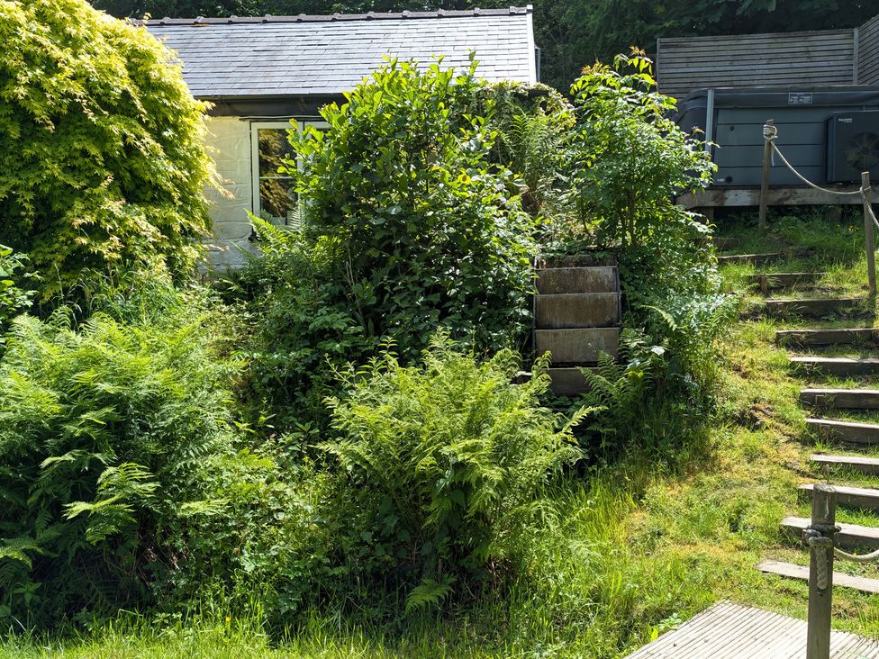A garden with vegetation and steps at Little Pandy Cottage Afonwen near Caerwys