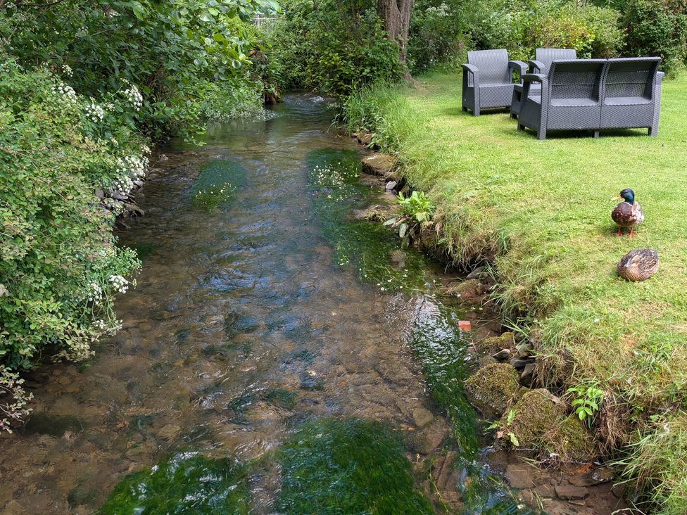 A stream with grass and chairs near ducks at Little Pandy Cottage Afonwen near Caerwys