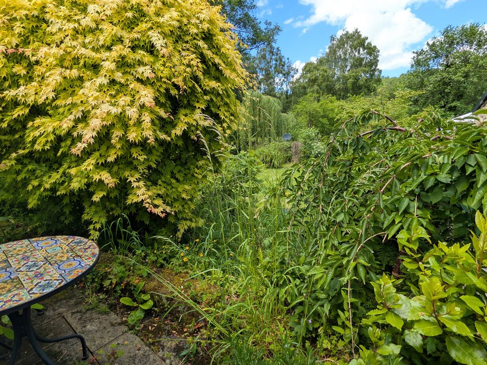 A garden with a table and various plants at Little Pandy Cottage Afonwen near Caerwys