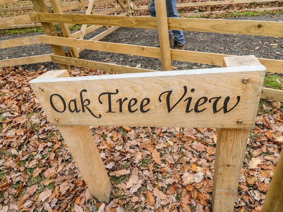 Oak Tree View - Mid Wales - 1090728 - thumbnail photo 17