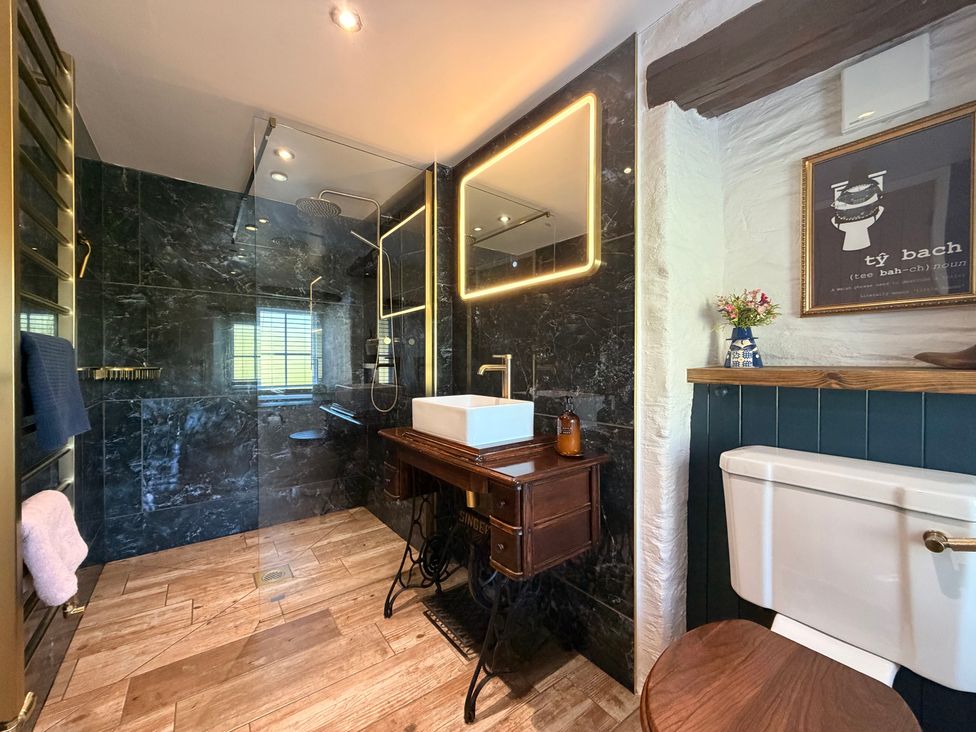 A bathroom with a shower, sink, and toilet at Pensarngerrig in Rhydlewis