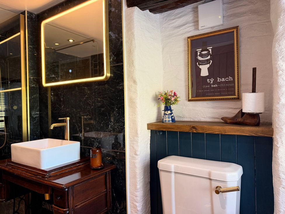 A bathroom with a sink and toilet at Pensarngerrig in Rhydlewis