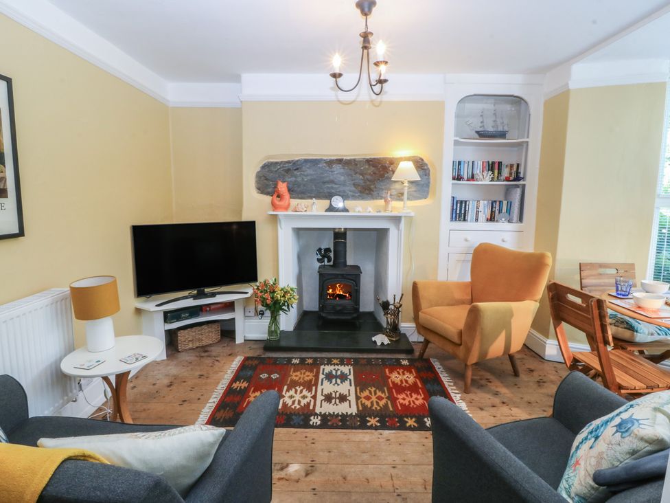 A living room with a fireplace and television at Maenllwyd Borth-Y-Gest near Porthmadog
