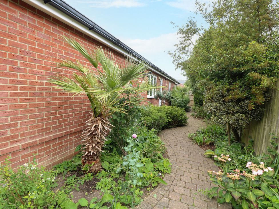 A garden with a pathway and plants at Birch Cottage in Brundall