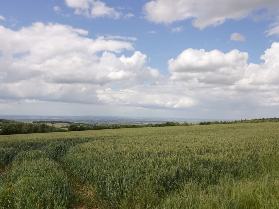 Primrose Cottage - Cotswolds - 1092551 - thumbnail photo 37