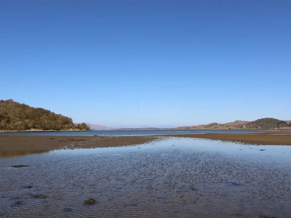 A shoreline with water and vegetation at Smithy House in Kilmartin