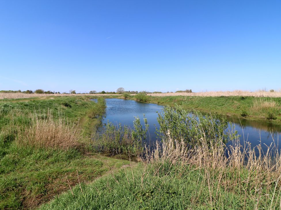 A river surrounded by grass and reeds at Sweet Caroline Shepherd’s Hut in Low Marnham near Sutton-On-Trent