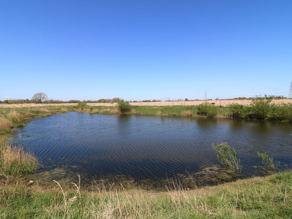 A pond with grass and trees at Sweet Caroline Shepherd’s Hut Low Marnham near Sutton-On-Trent