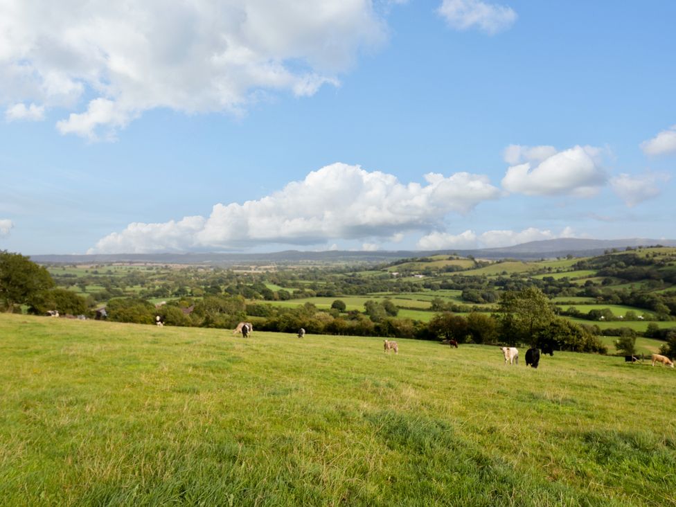 Grove Farm - Shropshire - 1093859 - thumbnail photo 61