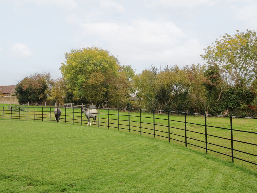 Two horses in a fenced area with grass and trees at Grove Farm Cardington near Church Stretton