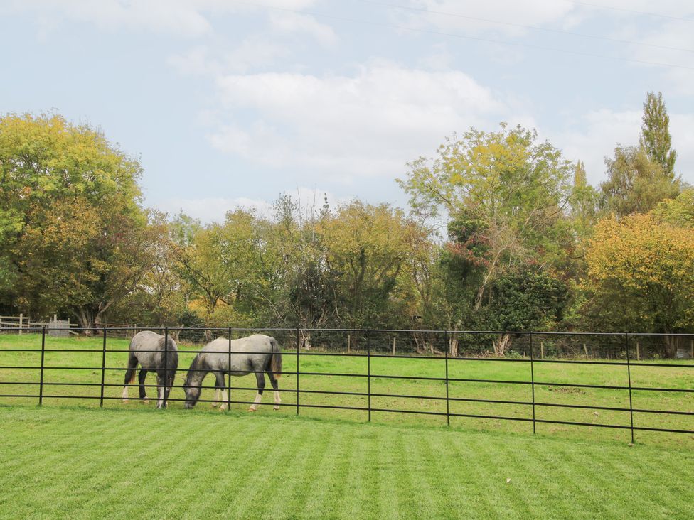 Two horses grazing in a fenced grassy area at Grove Farm in Cardington near Church Stretton