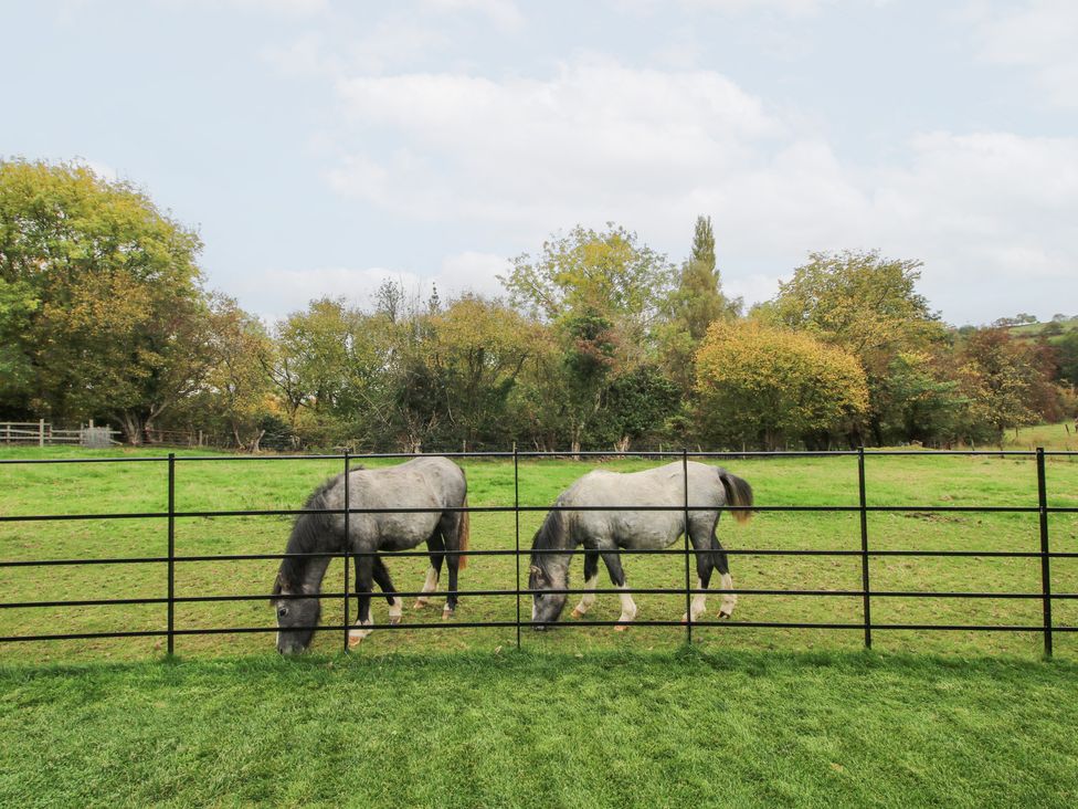 Grove Farm - Shropshire - 1093859 - thumbnail photo 69