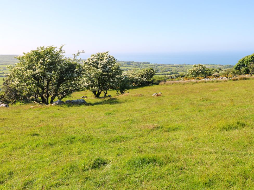 A grassy field with scattered trees and a view of the coastline at Ty Mellen in Dinas Cross