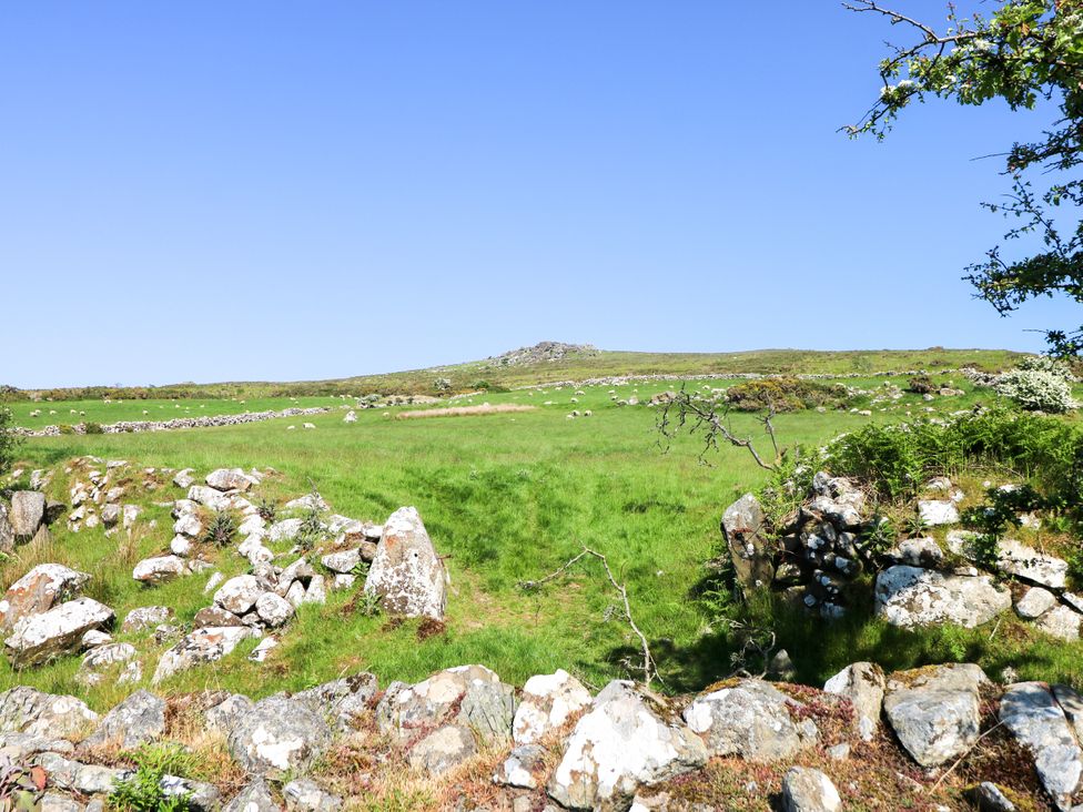 A green field with stone walls and scattered sheep under a clear blue sky at Ty Mellen in Dinas Cross