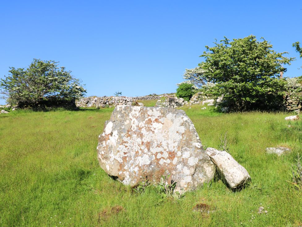 A large rock on grass with trees and stone walls under a clear blue sky at Ty Mellen in Dinas Cross
