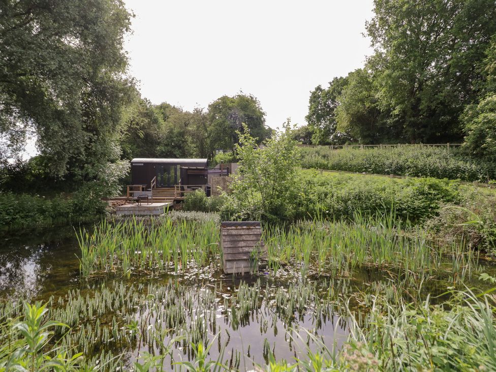 A pond with vegetation and a building in the background at The Shepherds Hut at Bridge Lake Farm & Fishery Chacombe