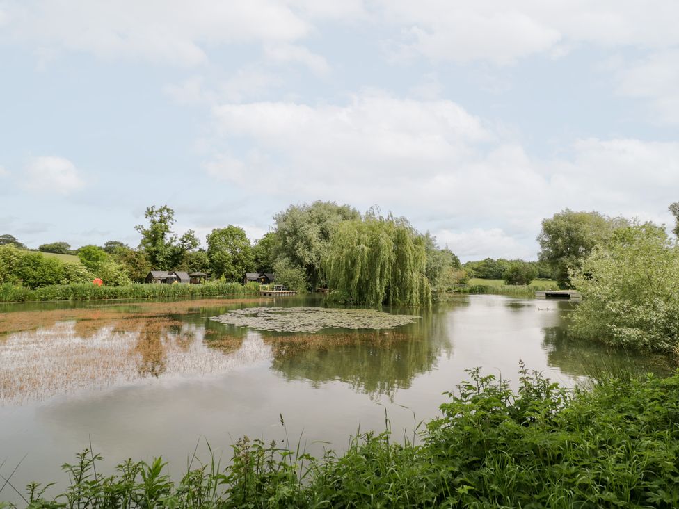 A pond with lilypads and willow trees at The Shepherds Hut at Bridge Lake Farm & Fishery Chacombe