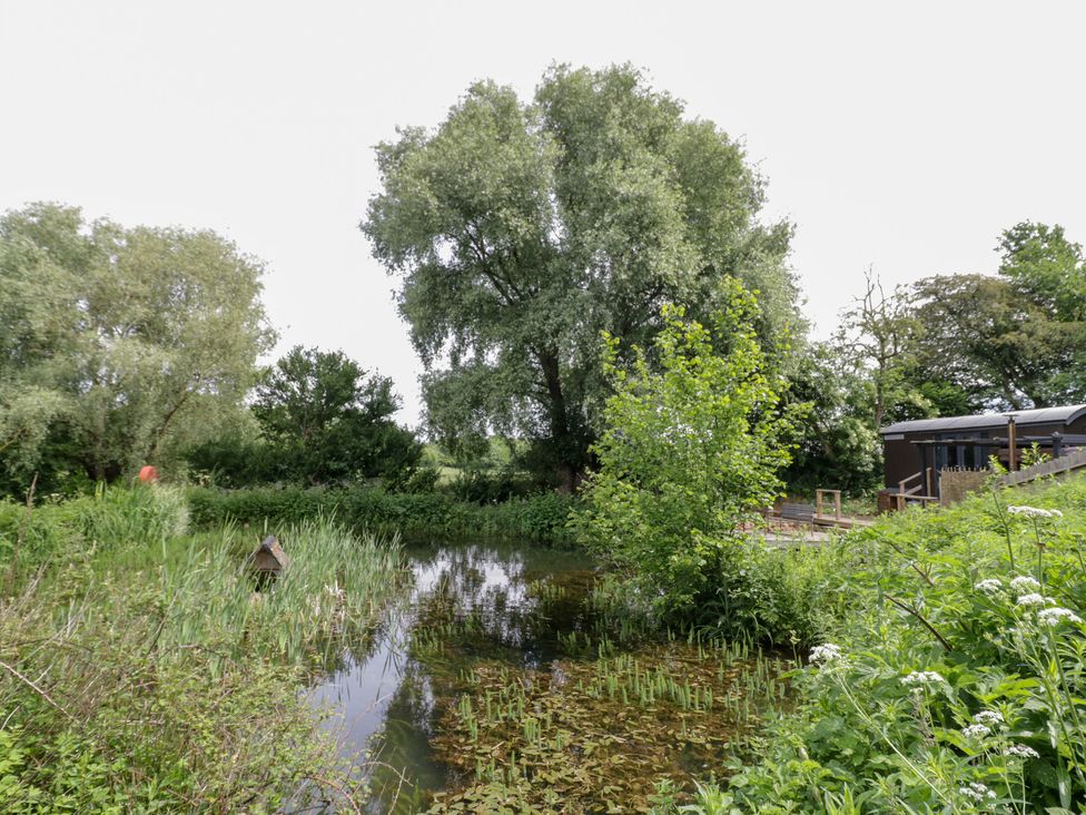 An outdoor area with a pond and surrounding greenery at The Shepherds Hut at Bridge Lake Farm & Fishery Chacombe