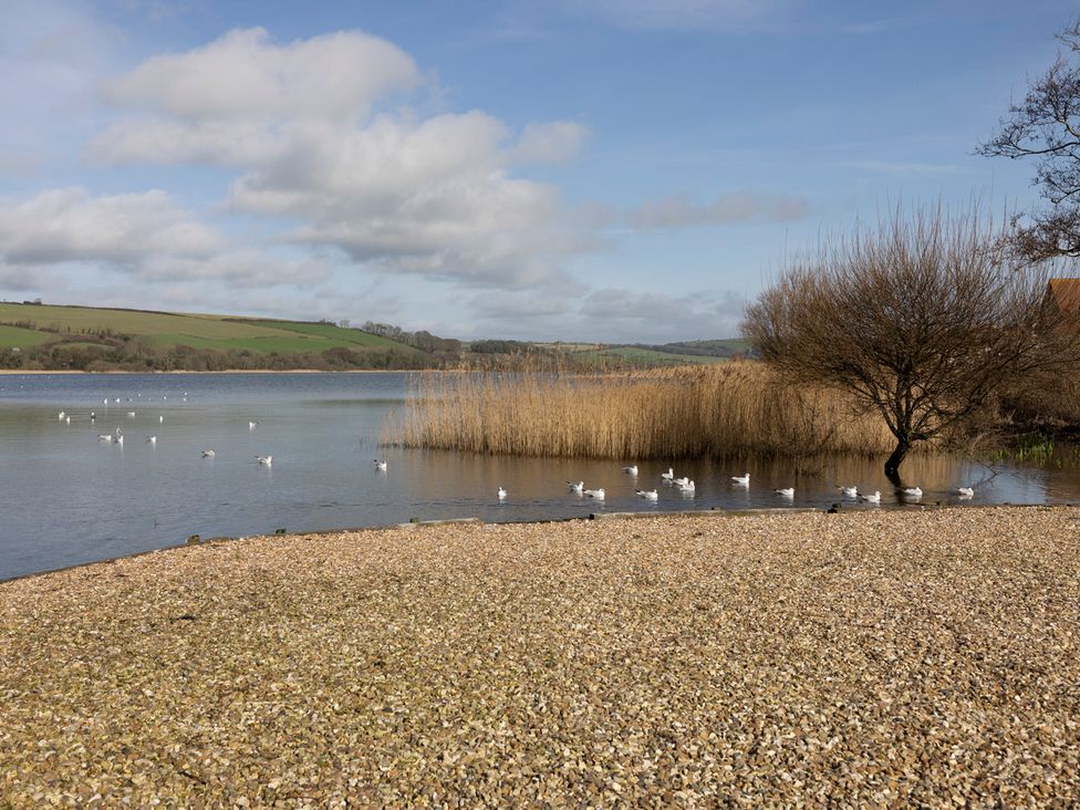 A natural landscape with a lake and birds at 38 Venn Park Stoke Fleming