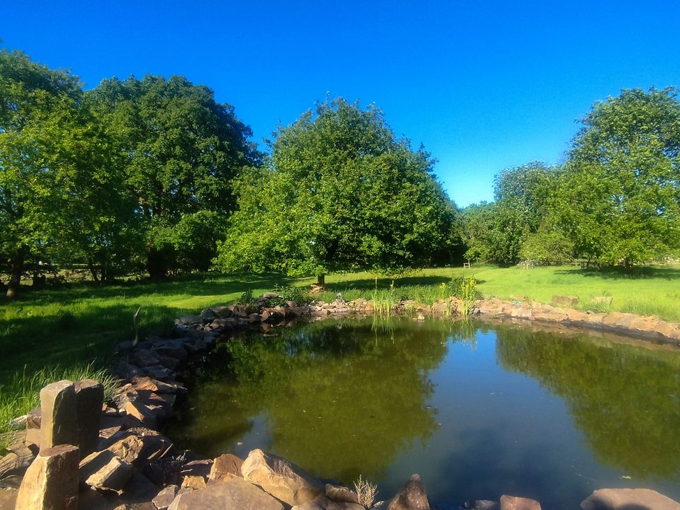 A pond surrounded by rocks and grass at Dryslwyn Cottage in Llandeilo