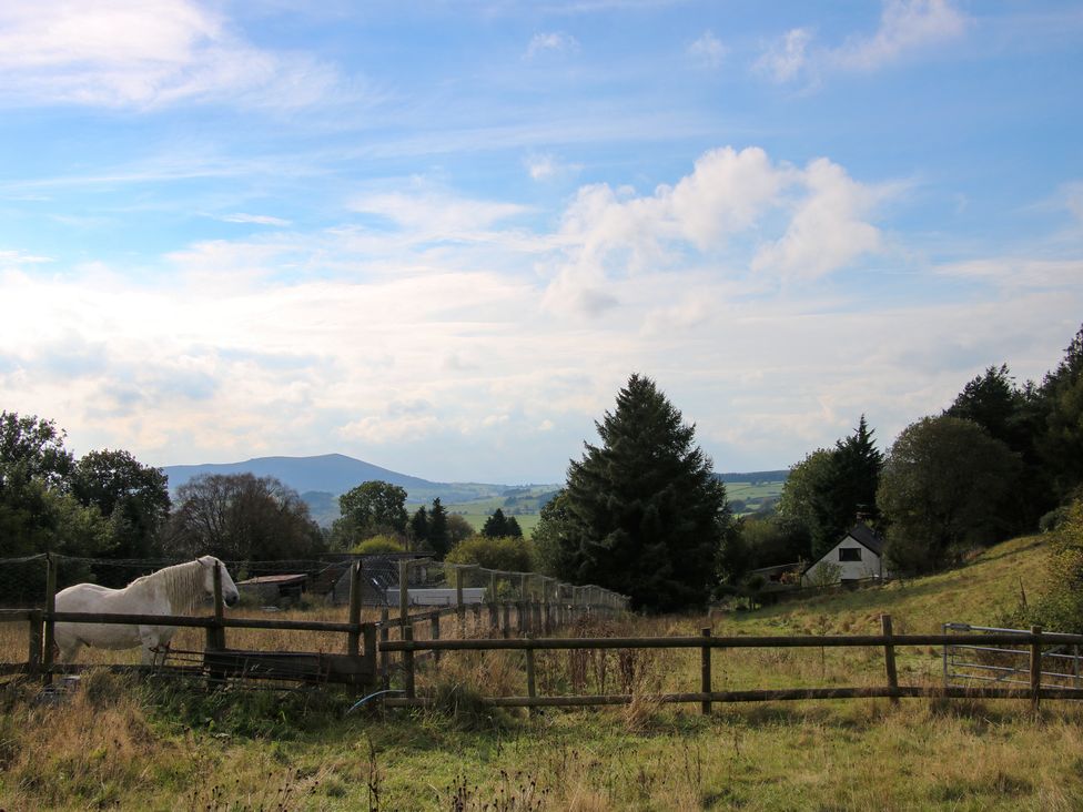 The Chicken Coop - Shropshire - 1096607 - thumbnail photo 21