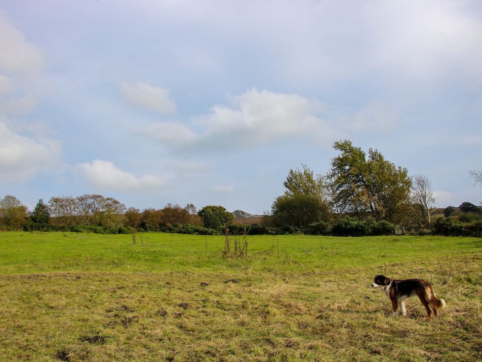 The Chicken Coop - Shropshire - 1096607 - thumbnail photo 26