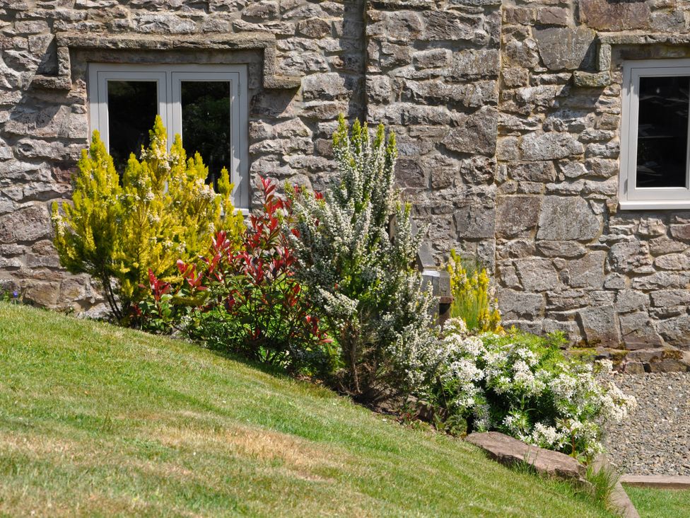 A garden with plants and stone wall at Rockhill Farmhouse in Clun