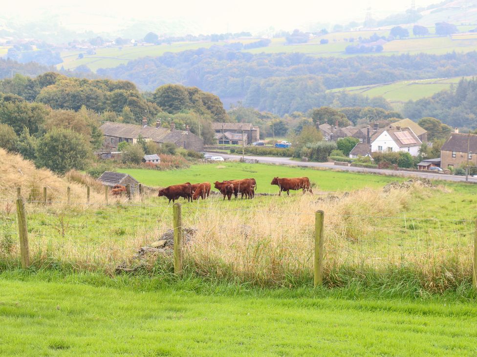 Black House Cottage - Yorkshire Dales - 1096777 - thumbnail photo 33