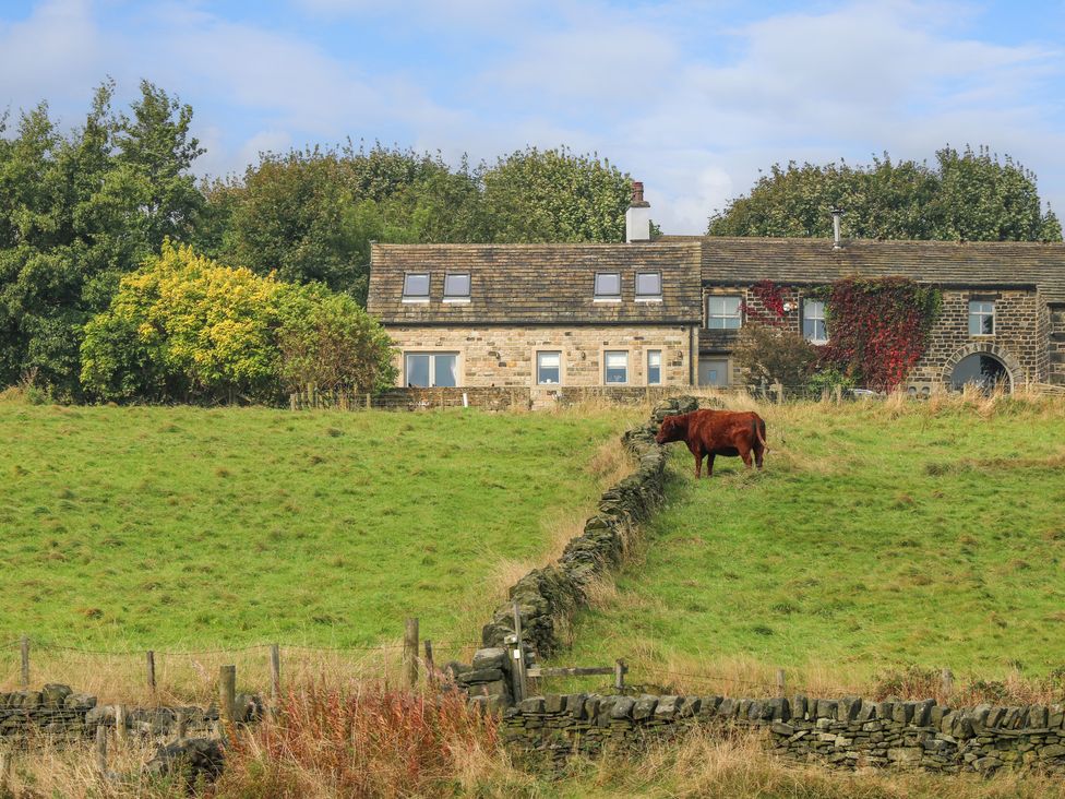 Black House Cottage - Yorkshire Dales - 1096777 - thumbnail photo 40