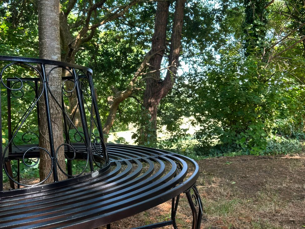 A bench under a tree in a garden at Teifi Villa, St Dogmaels