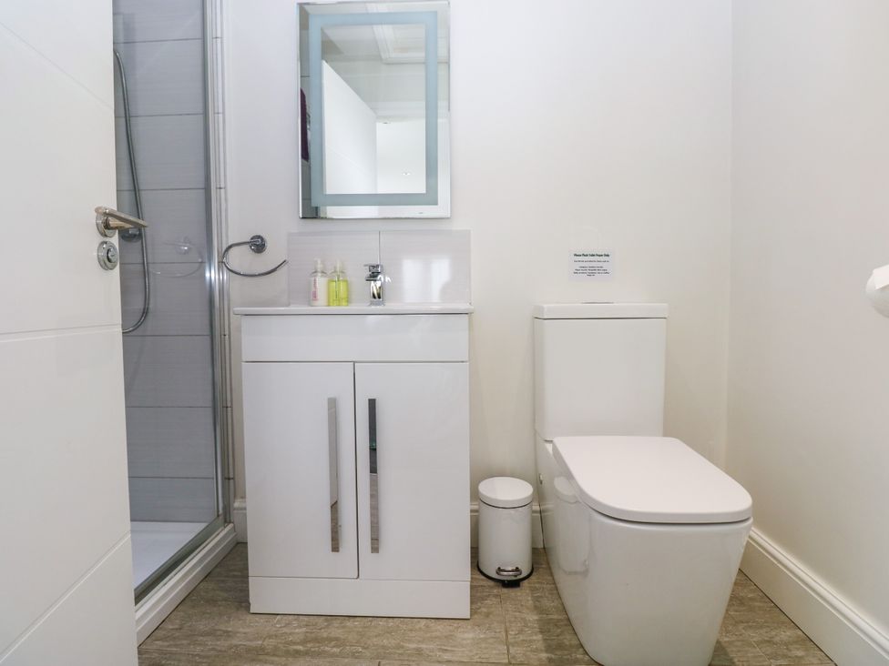 A bathroom with a sink, toilet, and shower at Teifi Villa in St Dogmaels