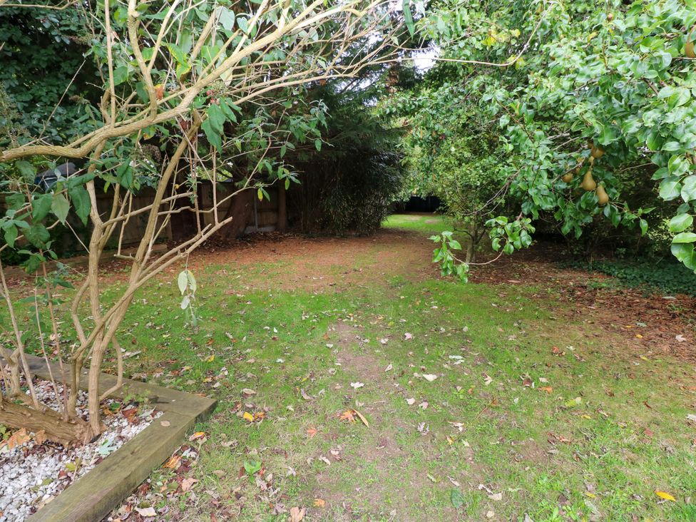 A garden area with trees and a pathway at Teifi Villa in St Dogmaels