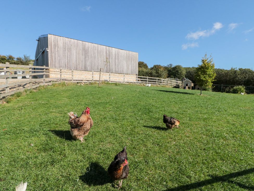 Chickens in a field with a barn in the background at Foxes Den in Allerston near Thornton Dale