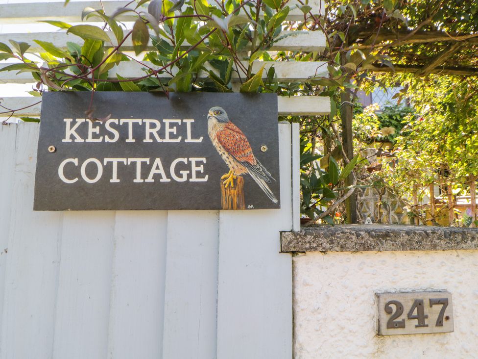 Kestrel Cottage - Devon - 1098384 - thumbnail photo 3