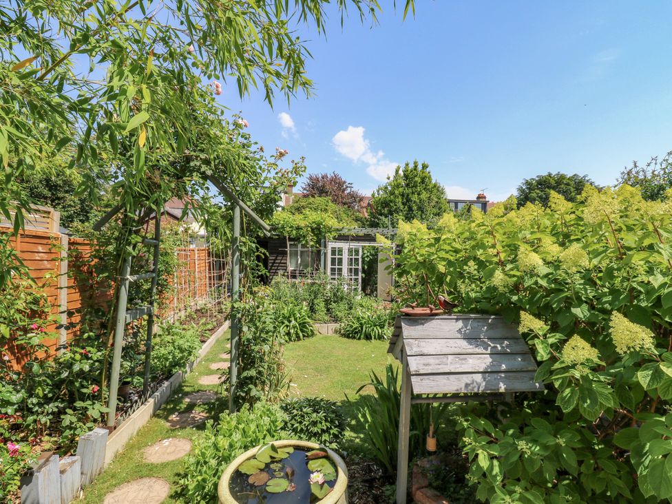 A garden with a lawn, plants, and a garden shed at Ninety Eight Southend-On-Sea