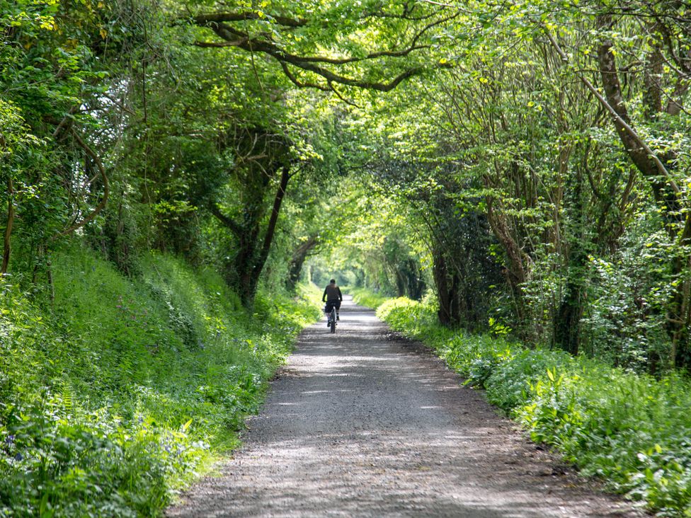 A path through trees with a person riding a bicycle at Trelowen in St Issey near Padstow