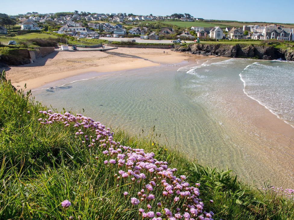 A beach with flowers and houses in the background at Trelowen in St Issey near Padstow